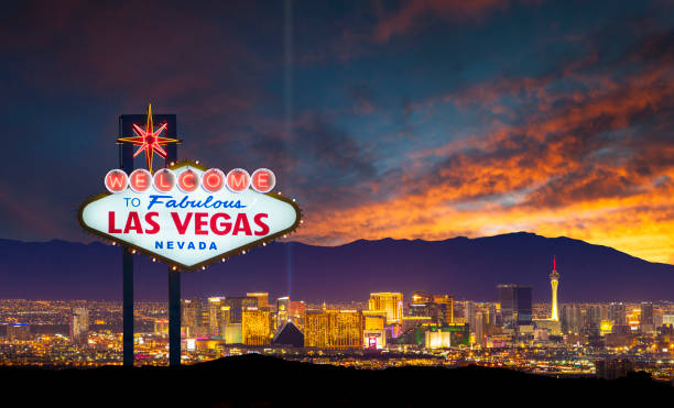 Discover Mobile Gaming Trends Across the Online Casino Games Market